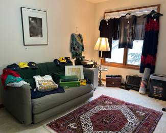 Women's Clothing, U of M Clothing & Hats, Ligne Roset Sleeper Sofa