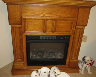 Free Standing Electric Fireplace
