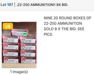 AMMUNITION 