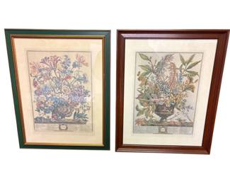 Robert Furber Botanical Framed Prints January October 18 x22.5 