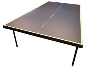 Harvard Ping Pong Table