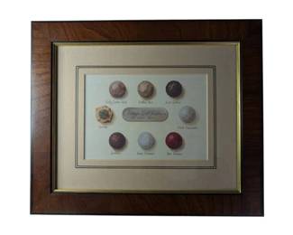 Vintage Golf Balls Framed Print 10.5 X 12.5 