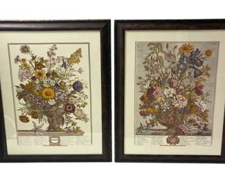Robert Furber Botanical Framed Prints November June 18 x22.5 