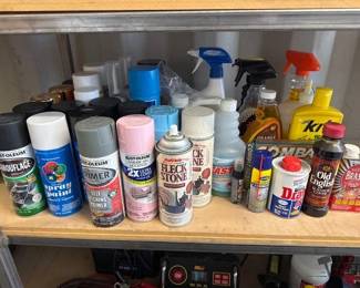5598 Spray Paint and Other Miscellaneous Items