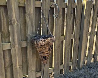 	#55	hanging basket+ shepherds hook	 $30.00 				