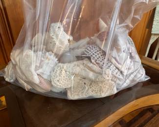 Seashells