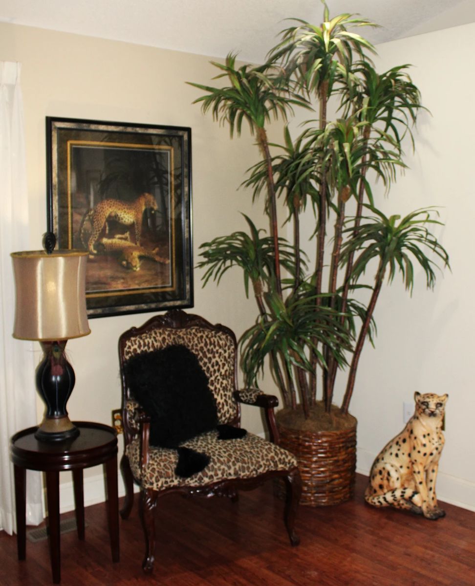 Beautiful Furnishing