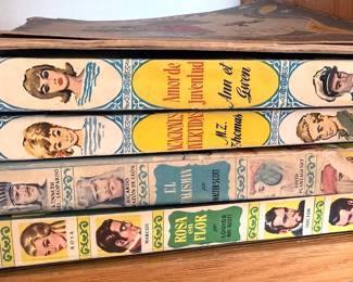 Fiction: Gabriel Garcia Marquez, Isabel Allende, John Nichols, Toni Morrison, Khaled Hosseini, Edward Abbey
Non-fiction: politics, economics, leather-bound law books, language dictionaries, nature guides, herbalism, meditation, celestial navigation
Coffee-table: travel, culture, New Mexico