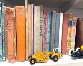 Kids/YA books: The Little Prince, Dr Seuss, Free to Be You + Me, Babar, nursery rhymes, National Geographic for Young Explorers series, DK Eyewitness nature books, The Baby Sitters Club, CS Lewis, Beverly Cleary, Nancy Drew + Hardy Boys. También hay libros para niños en francés y español, algunos de allos antiguos.