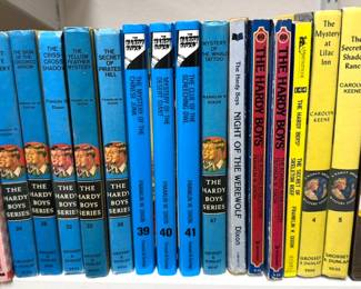 Kids/YA books: The Little Prince, Dr Seuss, Free to Be You + Me, Babar, nursery rhymes, National Geographic for Young Explorers series, DK Eyewitness nature books, The Baby Sitters Club, CS Lewis, Beverly Cleary, Nancy Drew + Hardy Boys. También hay libros para niños en francés y español, algunos de allos antiguos.