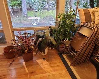 faux plants & folding chairs