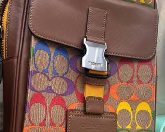 Coach Track Pack In Rainbow Signature Canvas second image