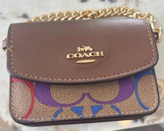 Coach Mini Wallet with Rainbow Signature Print and Chain