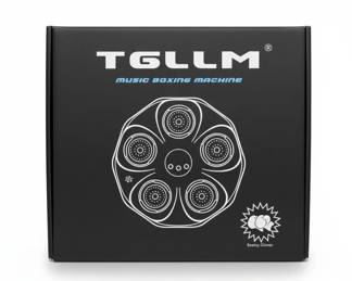 TGLLM Music Boxing Machine third image