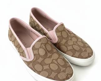 New Asset to Be Processed