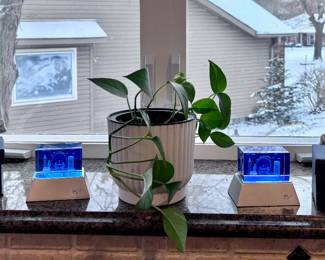 Live Plant and Crystal London Décor