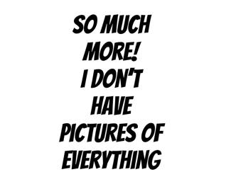 So much more than pictured!