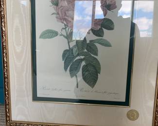 Framed Pierre-Joseph Redouté Botanical Rose Print - Rosa Gallica