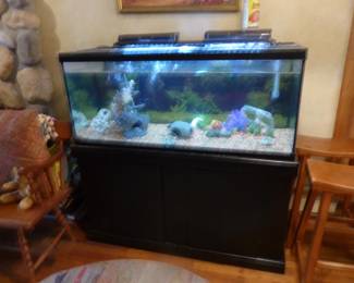 Large fish tank