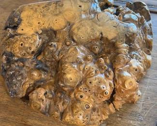 Wonderful petrified wooden box