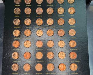 Penny Collection Land Of The USA