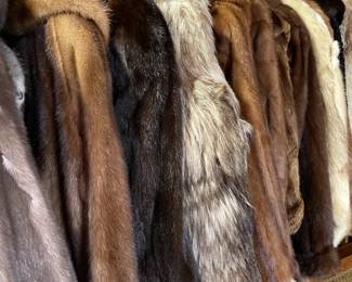 Furs and fur pelts.  $99 to 300.