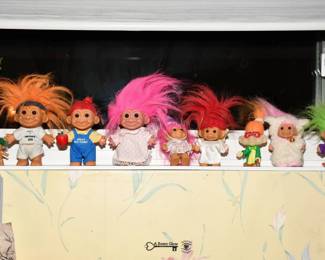 0021Some HighLights Naperville Estate Sale