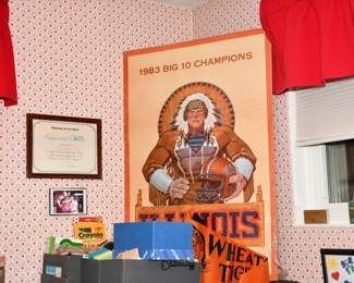 0020Some HighLights Naperville Estate Sale