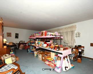 0004Some HighLights Naperville Estate Sale