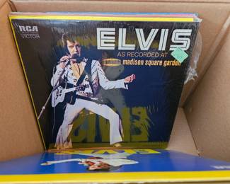 Elvis