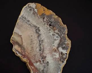 Polished Crazy Lace Agate Slab with Gold Gilt Edge