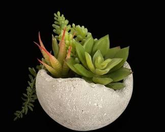 Artificial Succulent Arrangement in Textured Cement Pot
