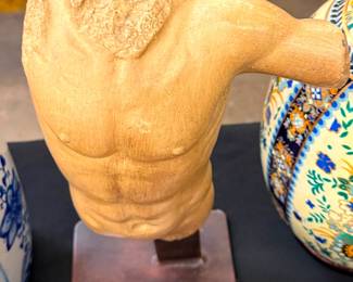 Male Torso