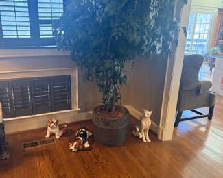 Dog lying down is no longer available. 