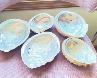 abalone shels