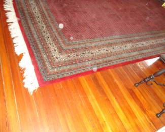Large beautiful Rug measuring 10.5 x 14 ( the spot are just orbs and no stains found ) 