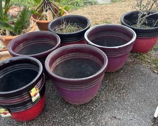 Large Pots & Plants $20-$50 each
