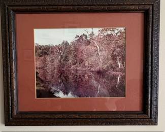 Framed Landscape Photograph of a Forested River