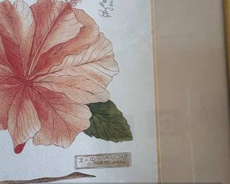 Watercolor Painting of Hibiscus Flowers by Ed. Bahamas second image