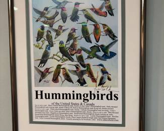 Framed & Matted Print "Hummingbirds of the United States & Canada" by Ed Newbold