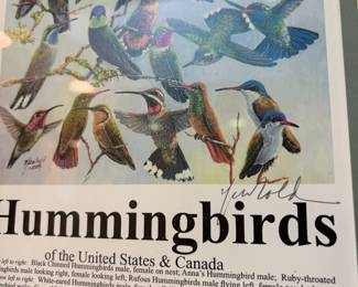 Framed & Matted Print "Hummingbirds of the United States & Canada" by Ed Newbold