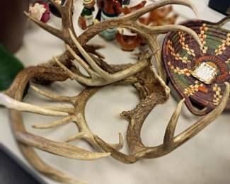 antlers 