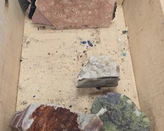 Awesome rock and mineral collection!! lots of different kinds. 