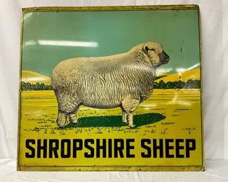 Nice DS Metal Advertising Sign Featuring Shropshire Sheep, 48x44