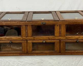 Early Wooden Seed Cabinet with Five Glass Lid Compartments, 72in x 19in