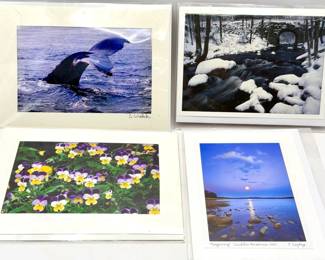 (4) Lovely Local Photography Cards