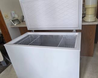 White Chest Freezer