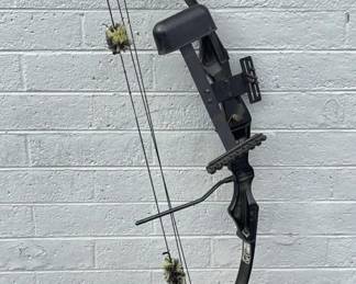 Compound Bow