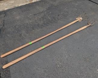 image 46 Large Medium