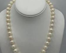 14k White Gold Forty-three Cultured South Sea Pearl Necklace | Total Weight is 80.8 grams